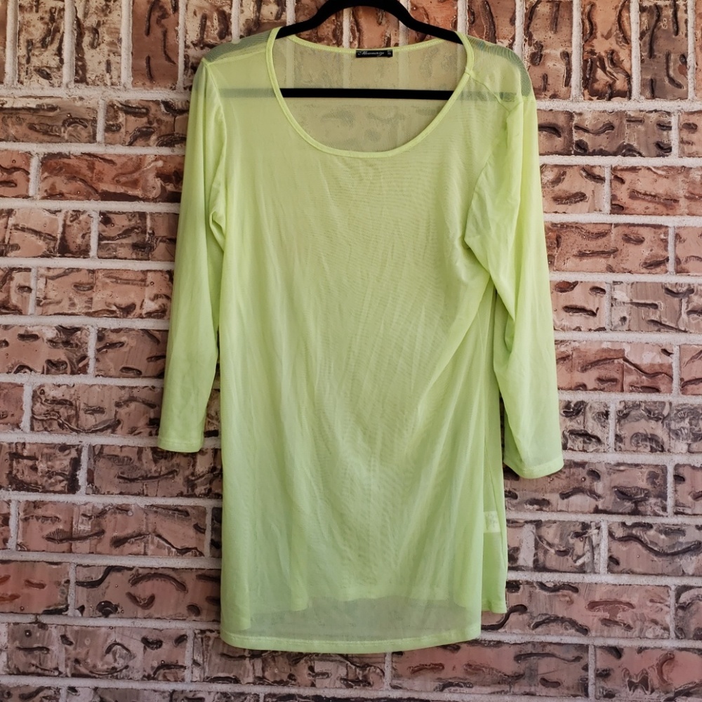 Mesmerize Light Green Sheer Top XL